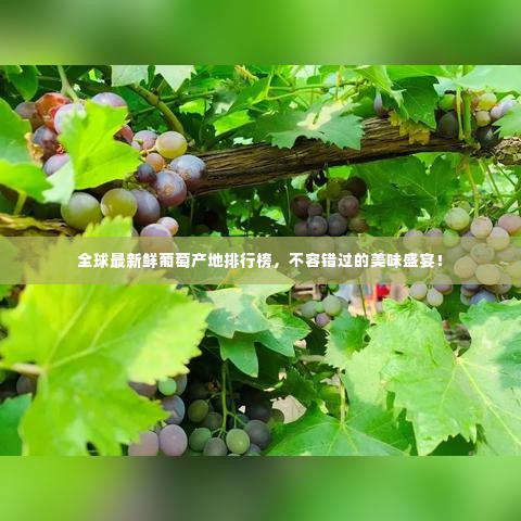 全球最新鲜葡萄产地排行榜,不容错过的美味盛宴!