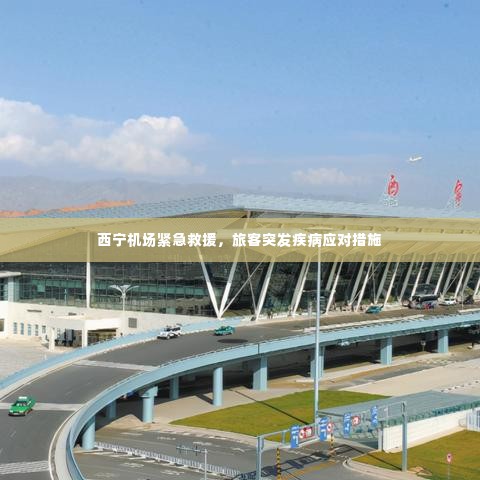 西宁机场紧急救援,旅客突发疾病应对措施