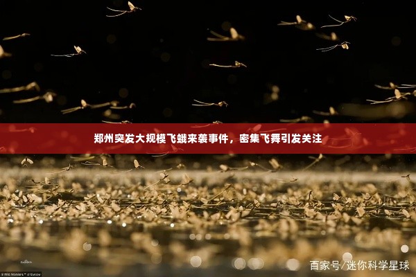 郑州突发大规模飞蛾来袭事件,密集飞舞引发关注