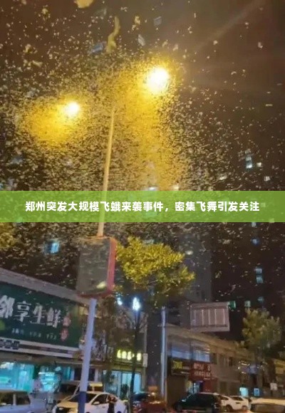 郑州突发大规模飞蛾来袭事件,密集飞舞引发关注