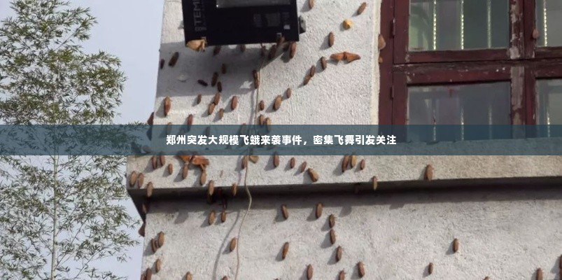郑州突发大规模飞蛾来袭事件,密集飞舞引发关注