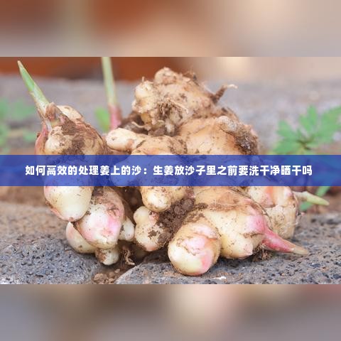 长颈鸟喙 第3页