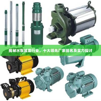 揭秘水泵减震行业,十大领先厂家排名及实力探讨