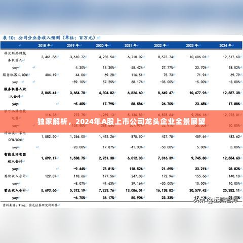 独家解析,2024年A股上市公司龙头企业全景展望