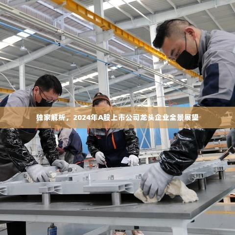 独家解析,2024年A股上市公司龙头企业全景展望