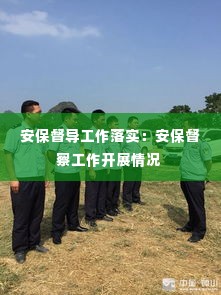 安保督导工作落实：安保督察工作开展情况 