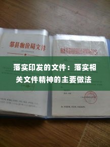 落实印发的文件：落实相关文件精神的主要做法 