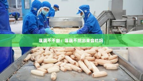 莲藕不不断：莲藕不挖出来会烂吗 
