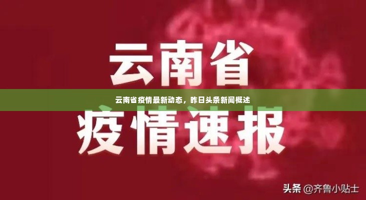 云南省疫情最新动态，昨日头条新闻概述