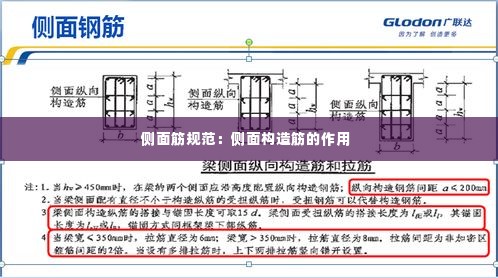 侧面筋规范:侧面构造筋的作用