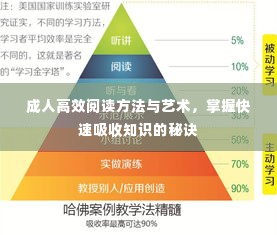 成人高效阅读方法与艺术，掌握快速吸收知识的秘诀