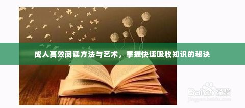 成人高效阅读方法与艺术,掌握快速吸收知识的秘诀