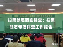 扫黑除恶落实排查：扫黑除恶专项排查工作报告 