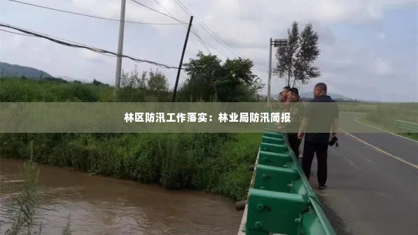 林区防汛工作落实:林业局防汛简报