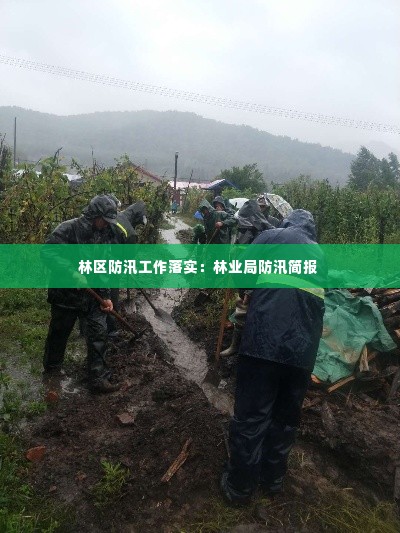林区防汛工作落实:林业局防汛简报