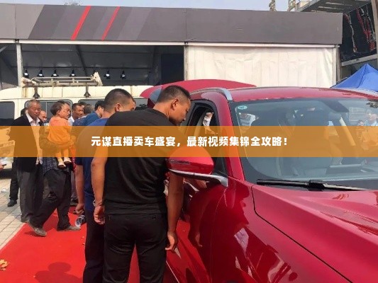 元谋直播卖车盛宴，最新视频集锦全攻略！
