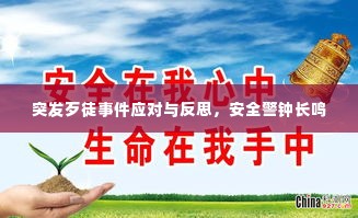 突发歹徒事件应对与反思，安全警钟长鸣
