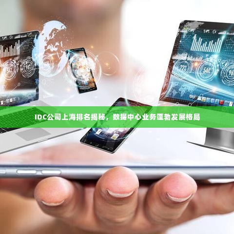 IDC公司上海排名揭秘，数据中心业务蓬勃发展格局