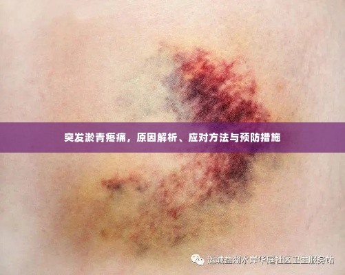 突发淤青疼痛,原因解析、应对方法与预防措施