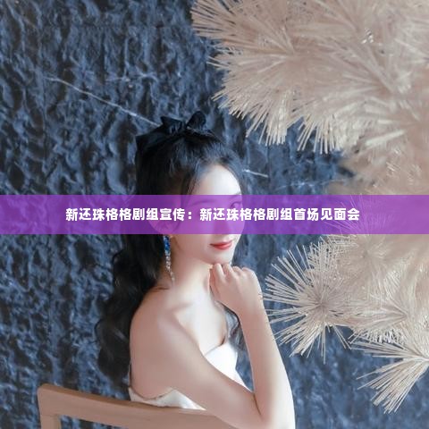 新还珠格格剧组宣传:新还珠格格剧组首场见面会