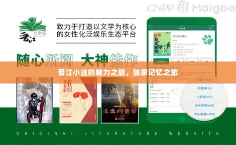 晋江小说的魅力之旅,独家记忆之旅