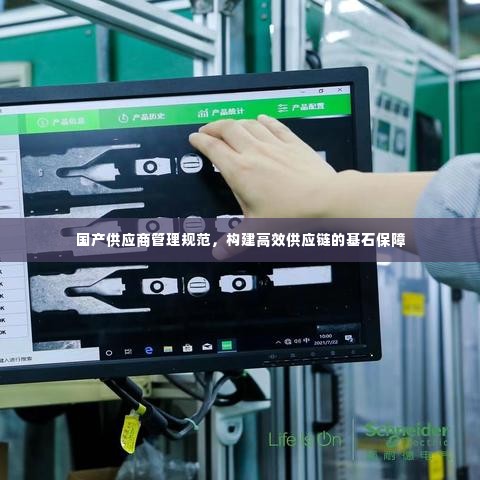国产供应商管理规范，构建高效供应链的基石保障