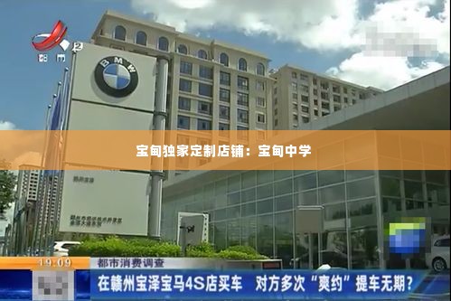 宝甸独家定制店铺：宝甸中学 