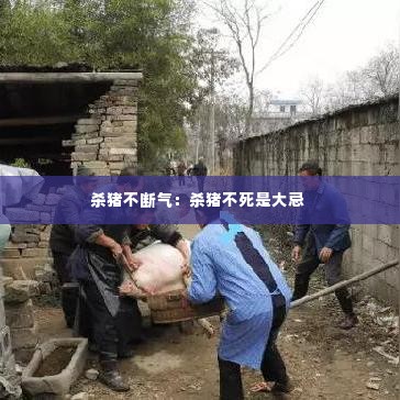 杀猪不断气:杀猪不死是大忌