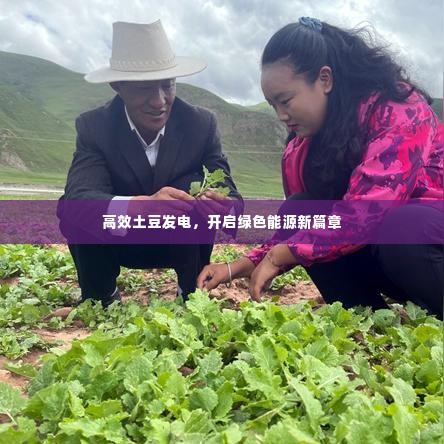 高效土豆发电,开启绿色能源新篇章