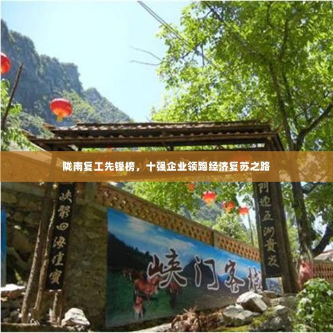 陇南复工先锋榜，十强企业领跑经济复苏之路