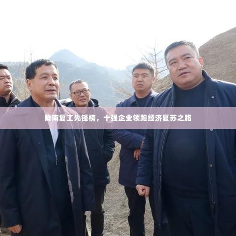 陇南复工先锋榜,十强企业领跑经济复苏之路