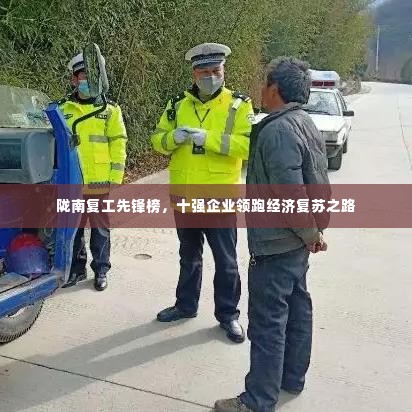 陇南复工先锋榜,十强企业领跑经济复苏之路