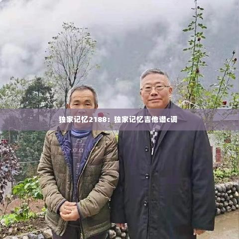 独家记忆2188:独家记忆吉他谱c调