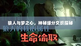 狼人与梦之心，神秘缘分交织探秘