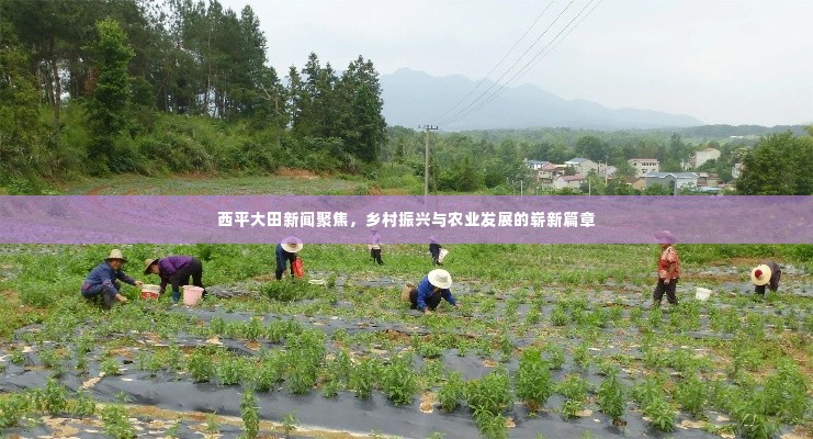 鸟面鹄形 第3页