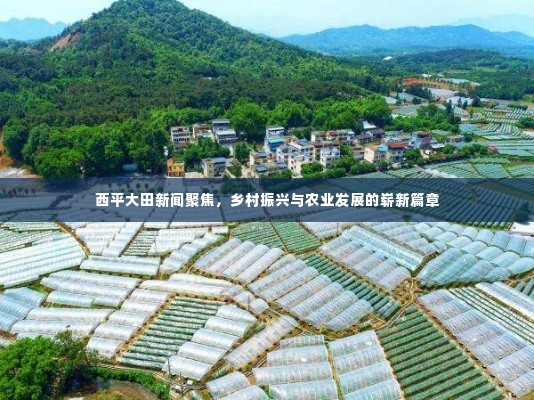 西平大田新闻聚焦,乡村振兴与农业发展的崭新篇章