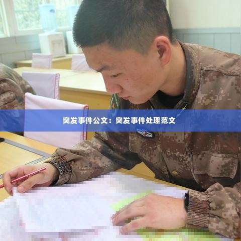 突发事件公文:突发事件处理范文