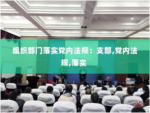 组织部门落实党内法规:支部,党内法规,落实