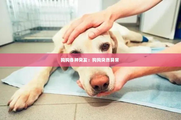 狗狗各种突发：狗狗突然异常 