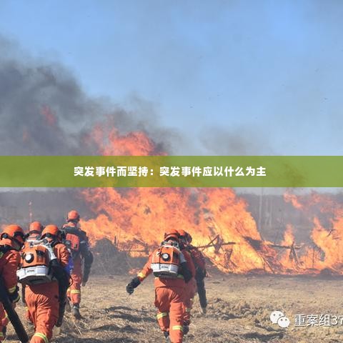 早生贵子 第3页