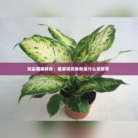 突发嘴唇肿胀:嘴唇突然肿胀是什么原因呢