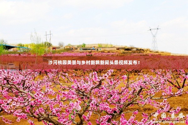 沙河桃园美景与乡村新貌新闻头条视频发布!