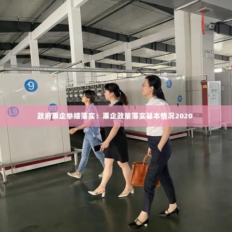 政府惠企举措落实:惠企政策落实基本情况2020