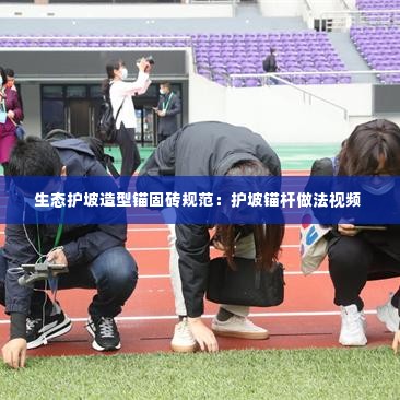 生态护坡造型锚固砖规范:护坡锚杆做法视频