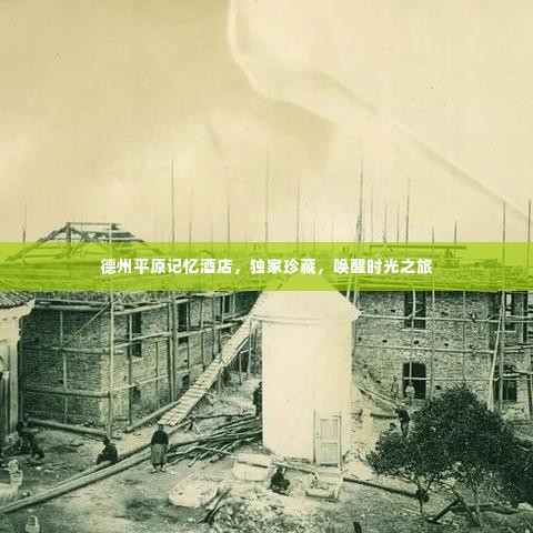 物以稀为贵 第3页