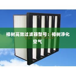 樟树高效过滤器型号：樟树净化空气 