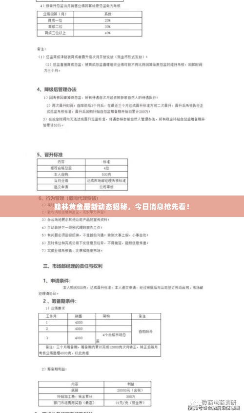 翰林黄金最新动态揭秘，今日消息抢先看！