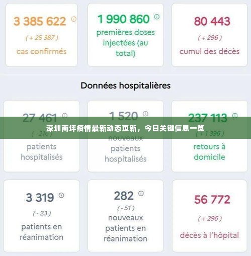 深圳南坪疫情最新动态更新,今日关键信息一览