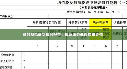 账务规范落实情况报告:规范账务处理的重要性