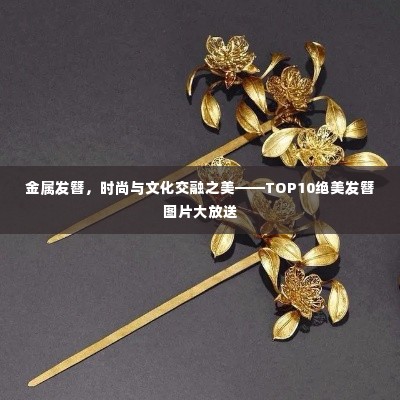 金属发簪,时尚与文化交融之美——TOP10绝美发簪图片大放送